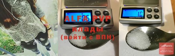 a pvp Новозыбков