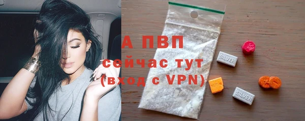 a pvp Новозыбков