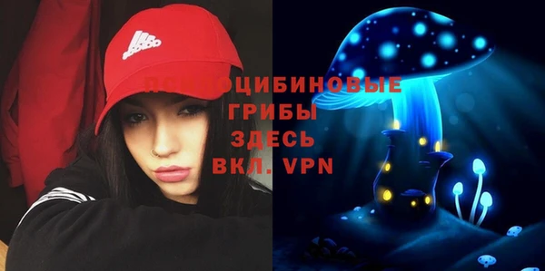 марки nbome Нязепетровск