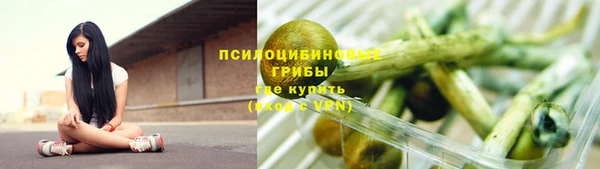 стаф Новодвинск