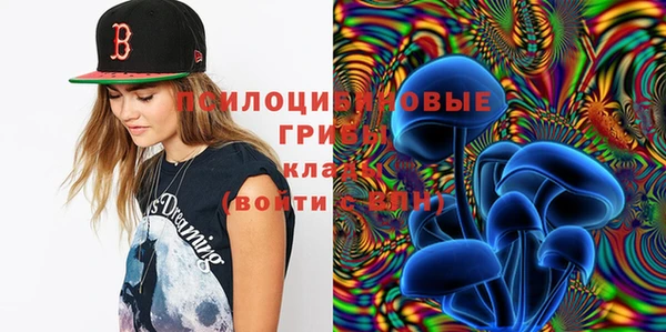 стаф Новодвинск
