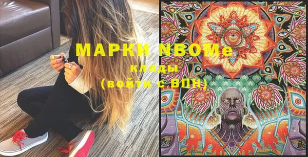 стаф Новодвинск