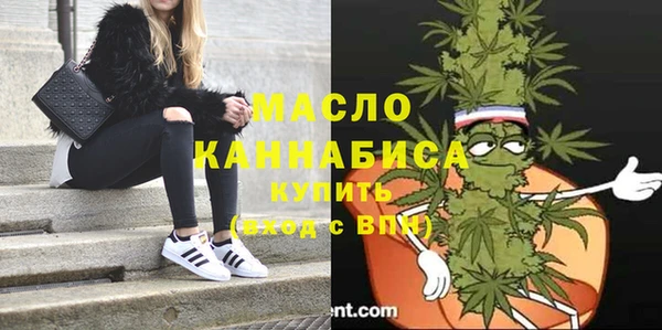 Альфа ПВП Няндома