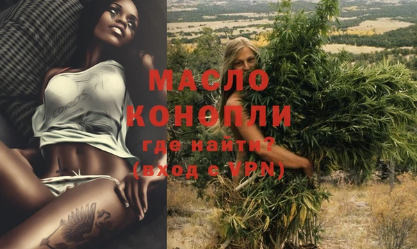 стаф Новодвинск