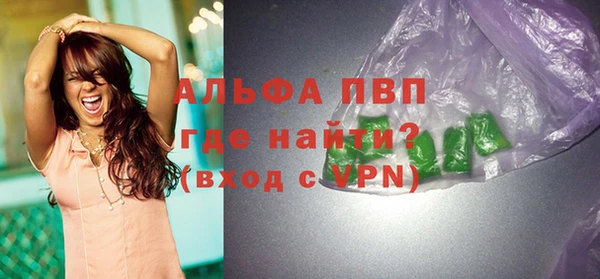 стаф Новодвинск