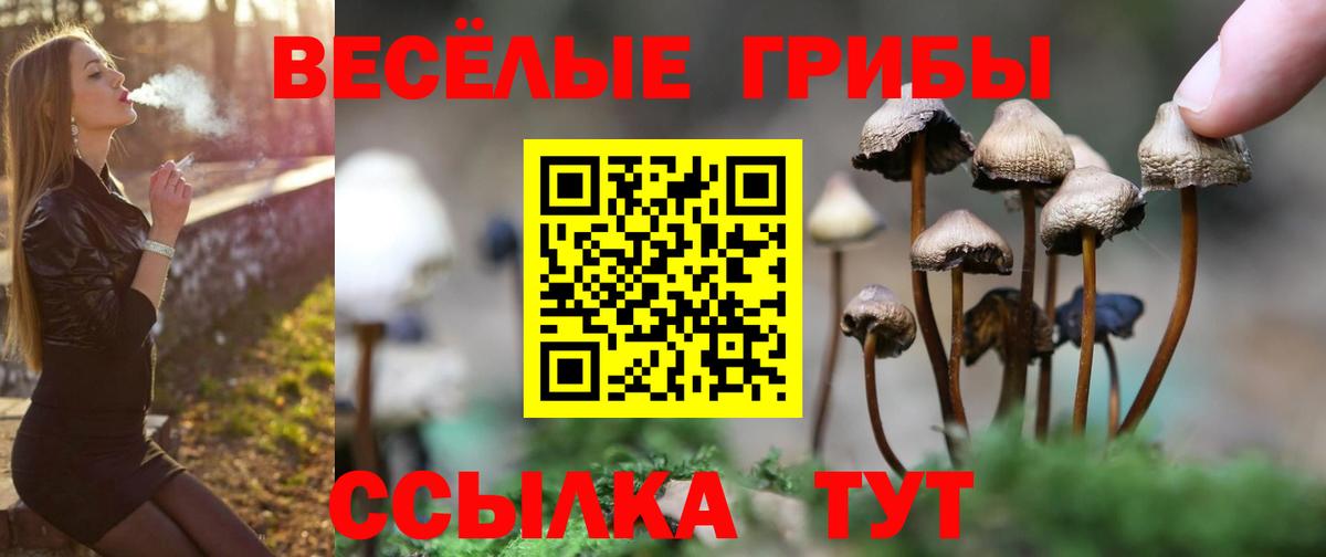 Псилоцибиновые грибы прущие грибы Нижневартовск